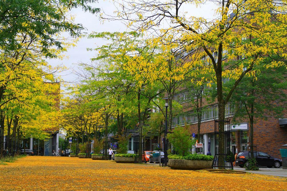 Essen City Suites エクステリア 写真